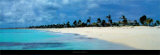 Barbuda Art by James Red