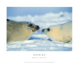 Mother and Pup Art by Michio Hoshino