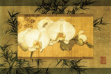 Bamboo and Orchids II Prints by Ives Mccoll Bamboo and Orchids II Prints by Ives Mccoll