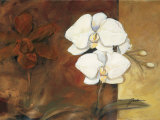 Luisia I Prints by Judeen 