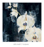 Shadow Orchids I Posters by Elizabeth Jardine
