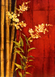 Zen Contemporary Print by Elizabeth Jardine