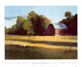 South Pasture Posters by David Marty