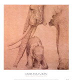 Elefantes en el Papel Tres Prints by Caroline Luzon