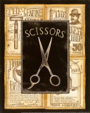 Grooming Scissors Prints by Charlene Audrey