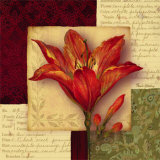 Bella Donna IV Posters by Pamela Gladding