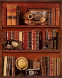 Librairie III Prints by Pela 