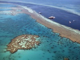 Aerial View of the Great Barrier Reef, Queensland, Australia Photographic Print