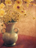 Mary's Flowers Photographic Print by Jennifer Kennard