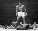 Mohamed Ali Photographie