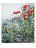 Poppies, Appledore Reproduction procédé giclée par Childe Hassam