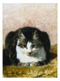 Hübsch angeordnet Giclée-Druck von Henriette Ronner
