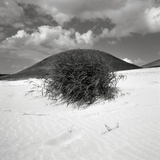 Hills Behind Cluster of Beach Grass Photographic Print