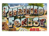 Souvenirs de la forêt pétrifiée, Arizona Reproduction procédé giclée par Lake County Museum 
