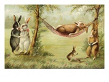 Postcard of Relaxing Rabbits Giclee Print