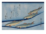 Rivertrout, from the Fish Series Reproduction procédé giclée par Utagawa Hiroshige