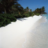 Tropical Beach Photographic Print