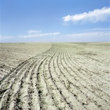 Dry furrowed farmland Photographic Print