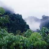Tropical Rainforest Thailand Photographic Print