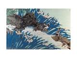 Little Forktails Lámina giclée por Hsi-Tsun Chang Little Forktails Lámina giclée por Hsi-Tsun Chang