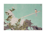 Chrysanthemum and Bird Lámina giclée por Hsi-Tsun Chang