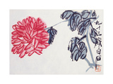 Chrysanthème Reproduction procédé giclée par Baishi Qi