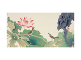 Lotus and Birds Lámina giclée por Hsi-Tsun Chang