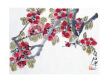 Baishi Qi - Apricot Blossoms - Giclee Baskı