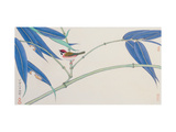 Green Bamboo and Red Bird Giclee Print by Hsi-Tsun Chang