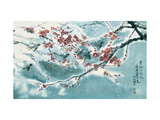 Plum Blossom in Snow Lámina giclée por Haizann Chen Plum Blossom in Snow Lámina giclée por Haizann Chen