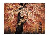 Maple Leaves Lámina giclée por Chuankuei Hung