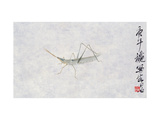 A Grasshopper Lámina giclée por Baishi Qi A Grasshopper Lámina giclée por Baishi Qi