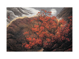 Enchanting Aroma of Fall Lámina giclée por Baogui Zhang Enchanting Aroma of Fall Lámina giclée por Baogui Zhang