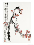 Red Plums Lámina giclée por Hsuehjang Wu Red Plums Lámina giclée por Hsuehjang Wu