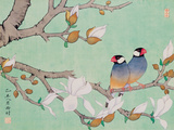 Hsi-Tsun Chang - Twin Birds in the Branches - Giclee Baskı Hsi-Tsun Chang - Twin Birds in the Branches - Giclee Baskı