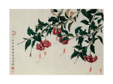 Fringed Hibiscus Lámina giclée por Hsi-Tsun Chang