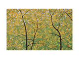 The Spring of Dita Bark Trees Lámina giclée por Chingkuen Chen