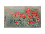 Poppy Flowers Lámina giclée por Haizann Chen