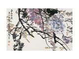 After the Spring Rain Giclee Print by Wanqi Zhang