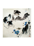 Stare Lámina giclée por Yeizhao Wu Stare Lámina giclée por Yeizhao Wu