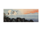 Flying at Dawn Lámina giclée por Hsi-Tsun Chang
