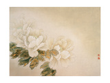 Green Peonies Lámina giclée por Minrong Wu