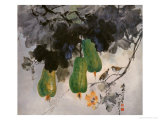 Loofahs Lámina giclée por Haizann Chen