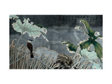 Bird and Rain Lámina giclée por Hsi-Tsun Chang