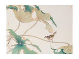 Bird on Lotus Leave Giclée-Druck von Hsi-Tsun Chang