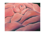 Ranges of Rose reproduction procédé giclée par Pihua Hsu