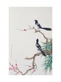 Happy Birds in Plum Tree Giclée-Druck von Hsi-Tsun Chang