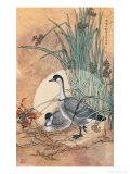 Two Geese Lámina giclée por Hsuehjang Wu