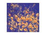Twinkle Stars Lámina giclée por Chenwen Chang
