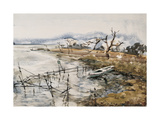 River in Early Spring Giclée-Druck von Wanqi Zhang